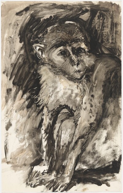 a) Untitled [monkey] (recto); b) Untitled [fish, butterfly, skull] (verso)