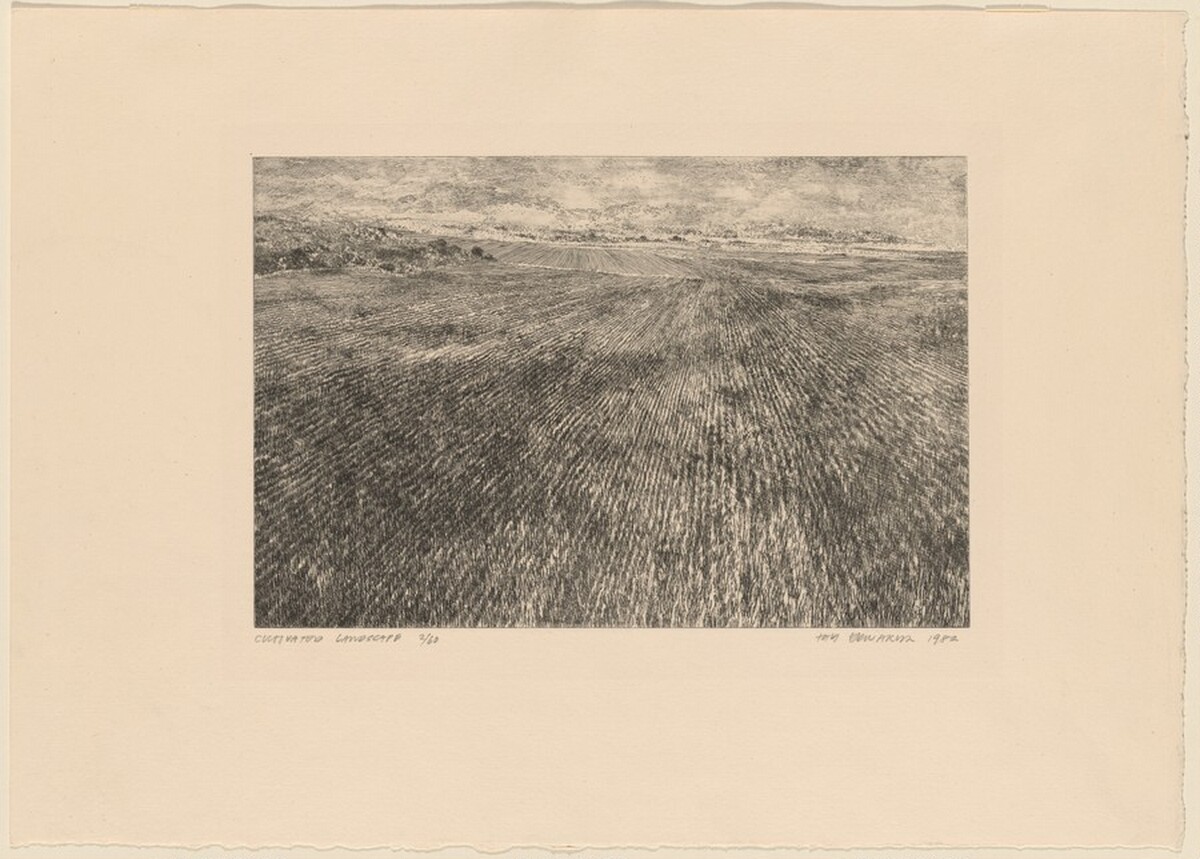 Cultivated Landscape