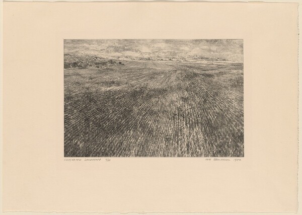Cultivated Landscape