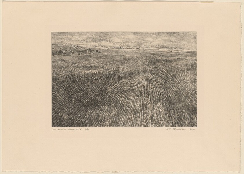 Cultivated Landscape