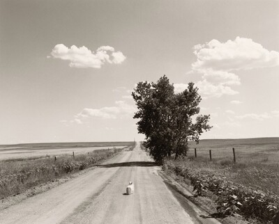 Sally, Weld County, Colorado