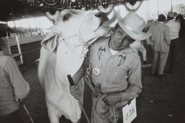 Texas State Fair--Dallas