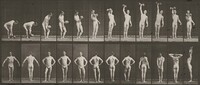 Plate Number 321.  A: Lifting a 50-lb. dumbbell. B: Posing, Eadweard Muybridge, 1887