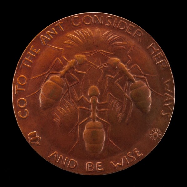 Go to the Ant, Consider Her Ways and be Wise [reverse]