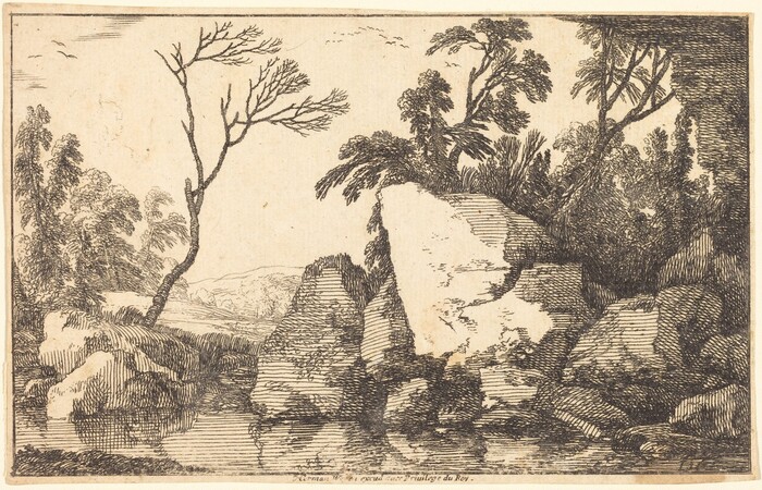 The image is a landscape view with a natural scene depicted in fine etching. The horizon is situated towards the middle of the composition, where the land gently rises, and a subtle outline of distant hills is visible. Large rocks and foliage are depicted close to us, with a lone, barren tree extending upwards on the left side. The etching features intricate and well-defined brushstrokes, including thin lines and cross-hatching to create texture and depth. The color palette is monochromatic, with dark tones against a lighter background. In the distance, additional clusters of trees can be seen, rendered with similar linework to convey movement and detail.