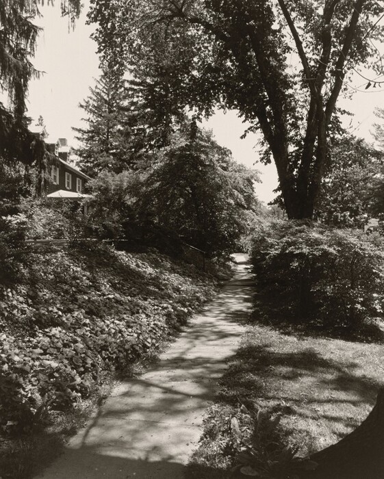 The image shows a slightly elevated view looking down a curved walkway under a canopy of trees. The house is positioned to the left, partially obscured by trees. The surroundings are lush with foliage casting shadows on the path. The path is bordered by dense vegetation and leads into the distance. The image is in black and white, highlighting the interplay of light and shadow, textures, and contrasts of the scene.