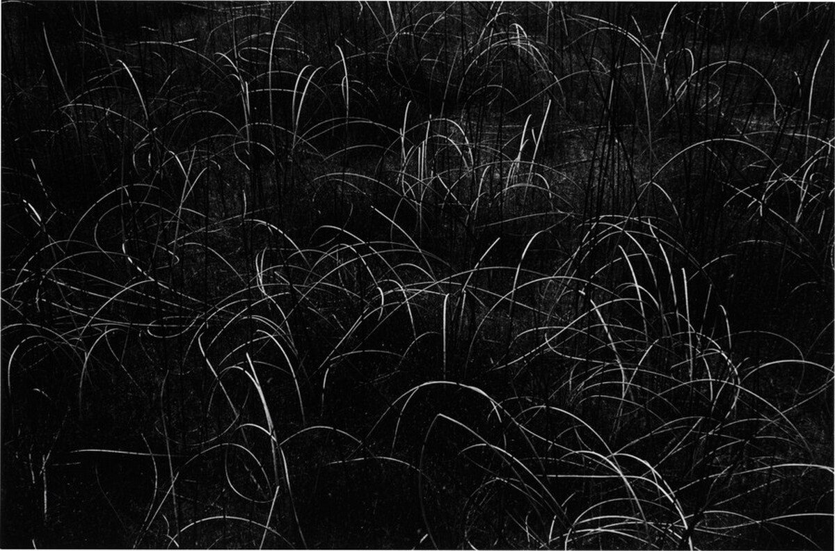 Grasses, Wisconsin