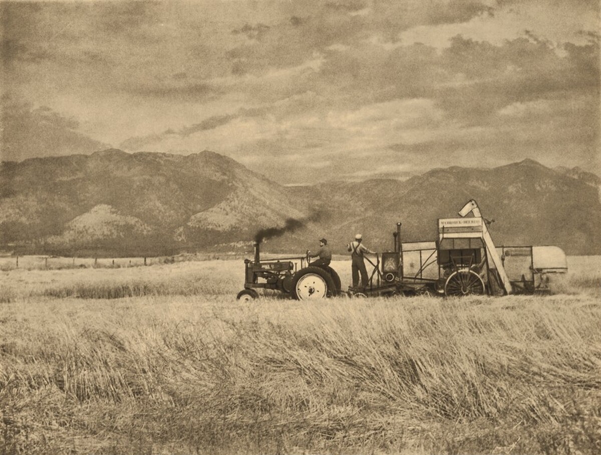 Hay Maker