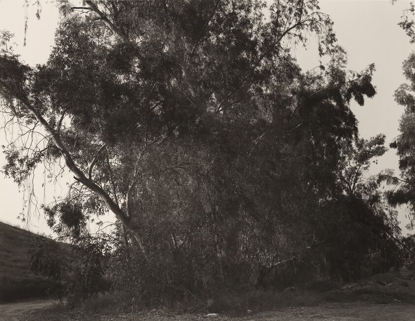 Next to Interstate 10, Redlands, California