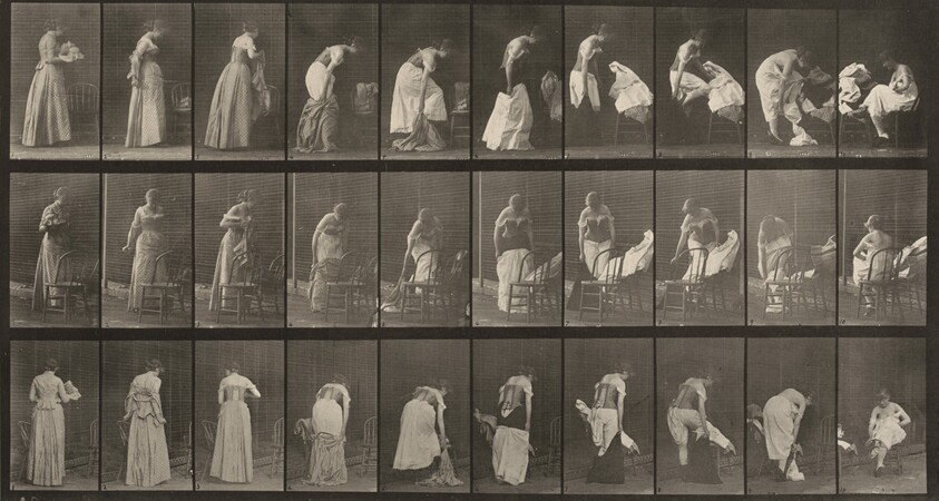 Plate Number 497. Miscellaneous phases of the toilet