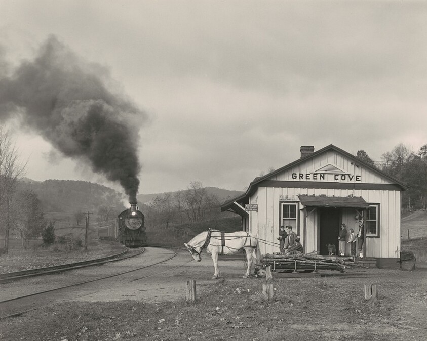 Maude Bows to the Virginia Creeper, Green Cove, Virginia