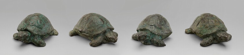 Four Tortoises