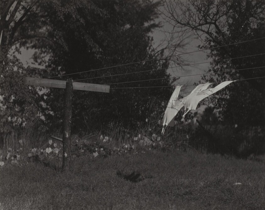 Long Underwear, Lake George