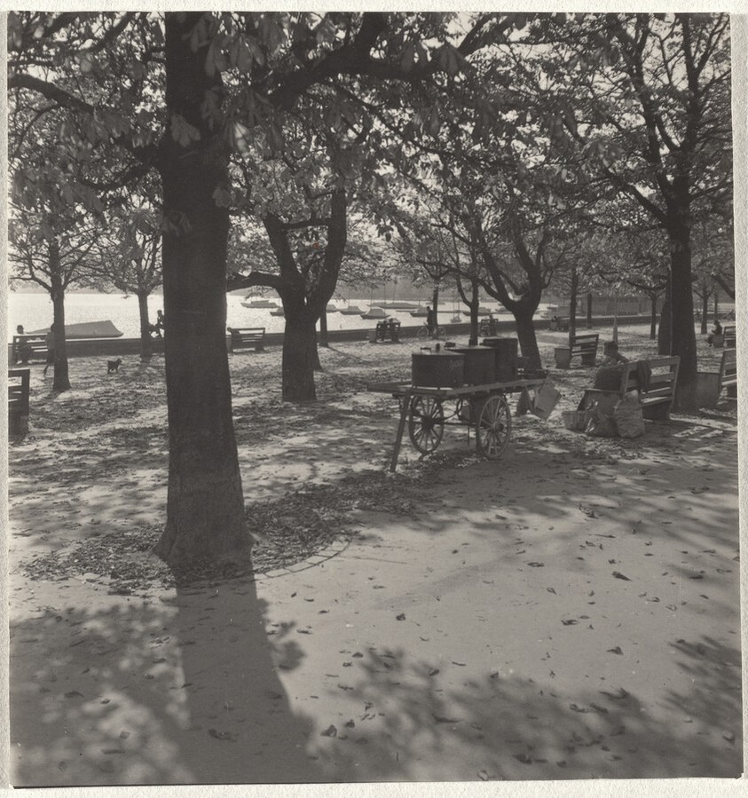 Park--Landscape