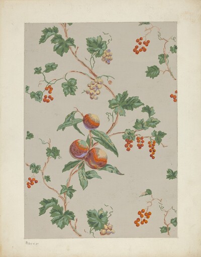 Wall Paper