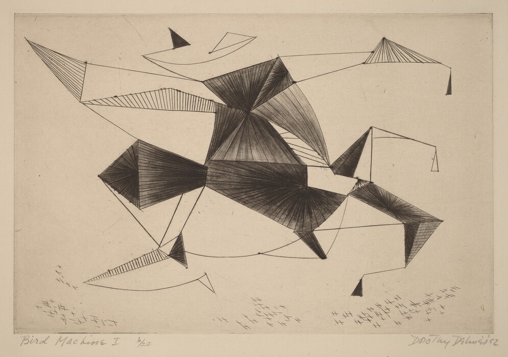 The image shows intersecting lines and shapes forming an intricate abstract design. The shapes resemble interconnected triangles and quadrilaterals, tapering into thin lines. The artwork evokes the image of a complex machine or a bird in flight, with outlines implying wings or mechanical parts. Scattered lines and marks in the lower part suggest movement or a flock of birds in the distance.