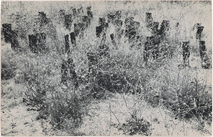 100 Boots in the Wild Mustard. Solana Beach, California. June 19, 1971, 3:00 p.m.