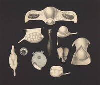 Lacryma, Frederick Sommer, 1992