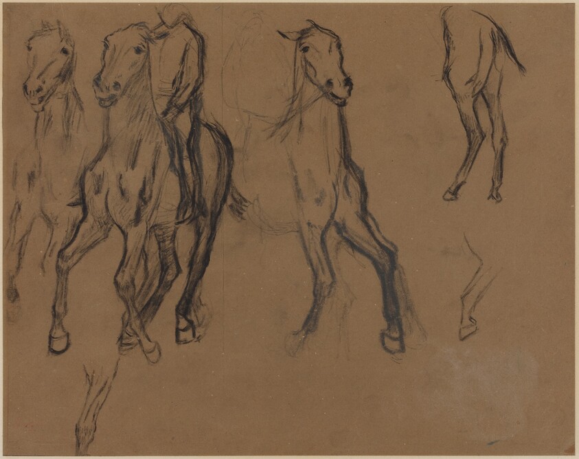 Study of Horses