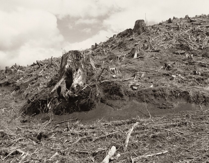 Clearcut, Clatsop County, Oregon