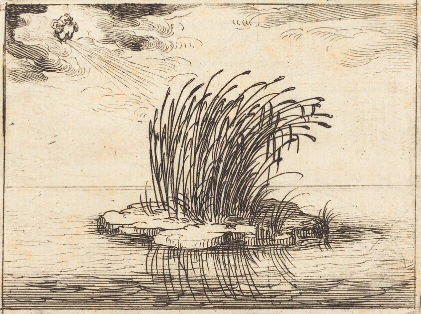 The Reeds and the Wind