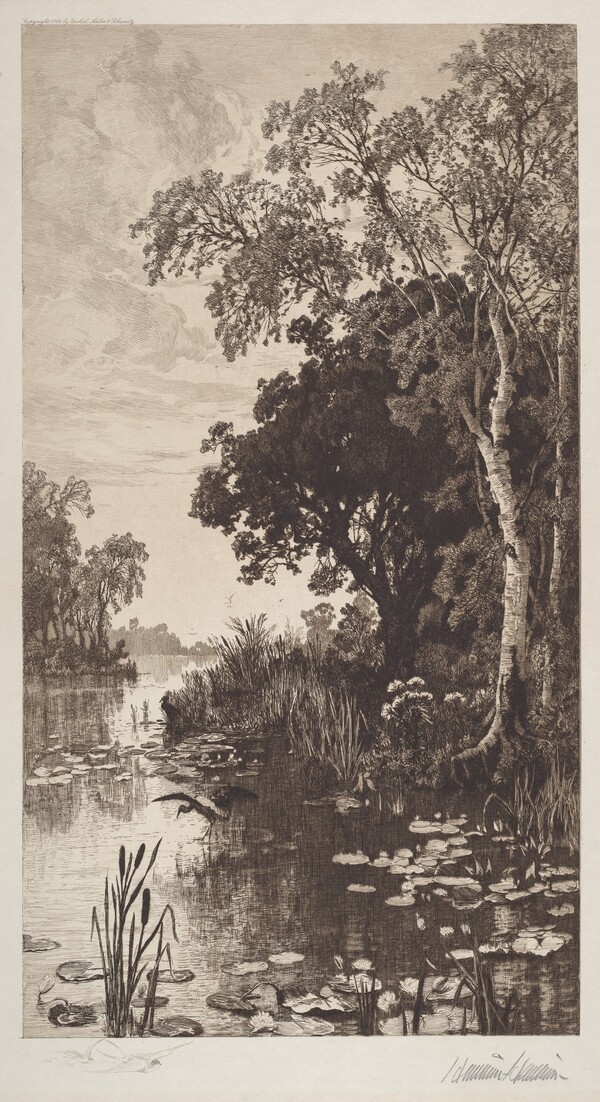 Untitled (Summer)