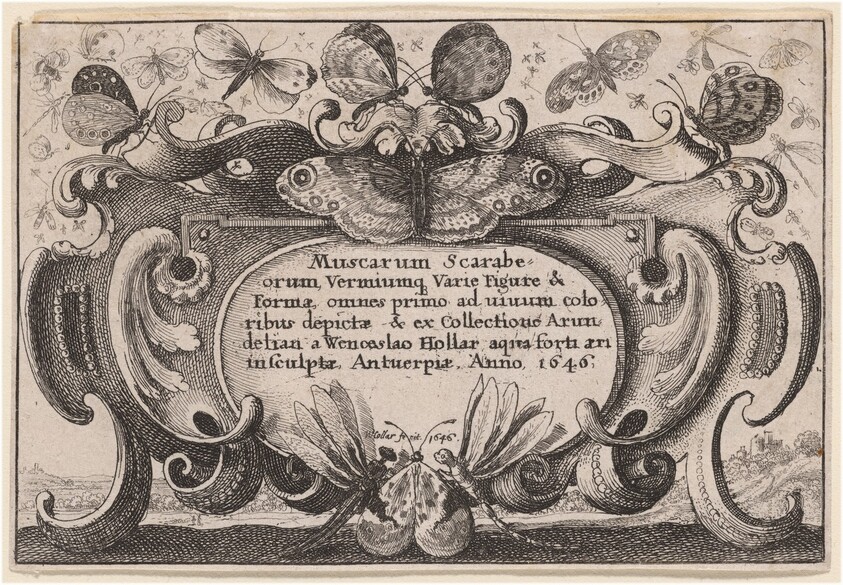 Title Page