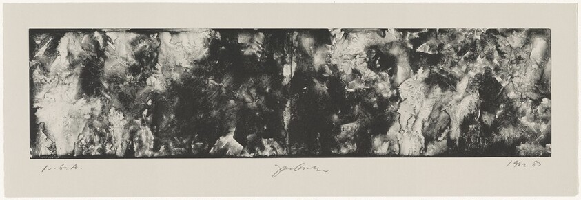 Forest Fire Aftermath