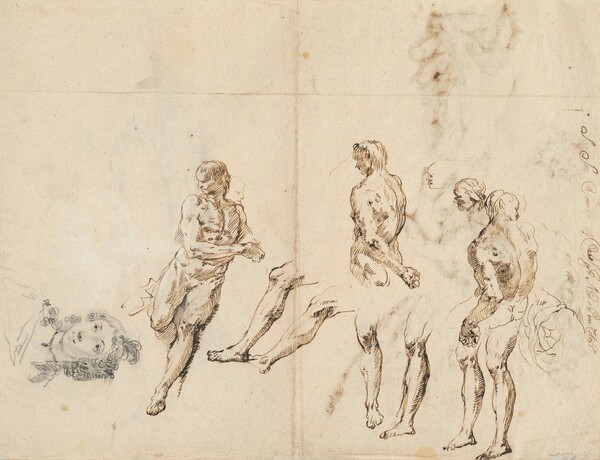 Head of a Woman and Studies of a Male Nude [verso]