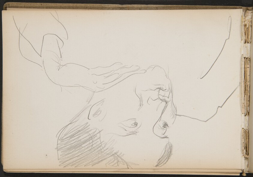 Weiblich Bildnistudie, Sabine Hackenschmidt (Portrait of Sabine Hackenschmidt) [p. 14]