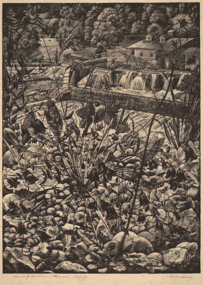 Kleine Glockenblume (Small Bellflowers)