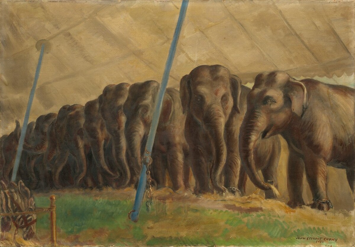 Circus Elephants