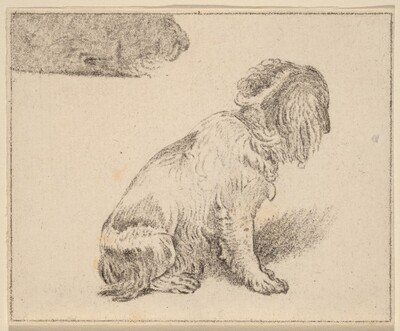 Seated Dog
