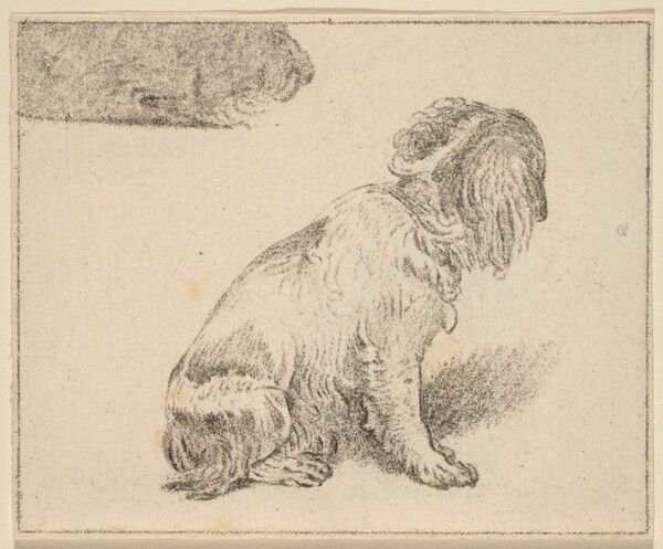 Seated Dog