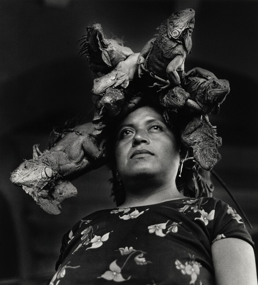 Nuestra señora de las iguanas, Juchitán, México (Our Lady of the Iguanas, Juchitán, Mexico)