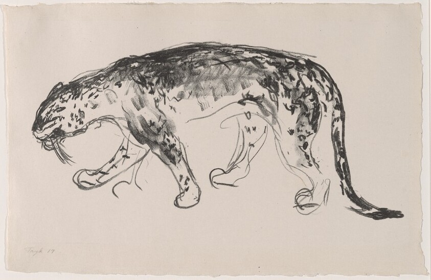 Stalking Panther (The Leopard)