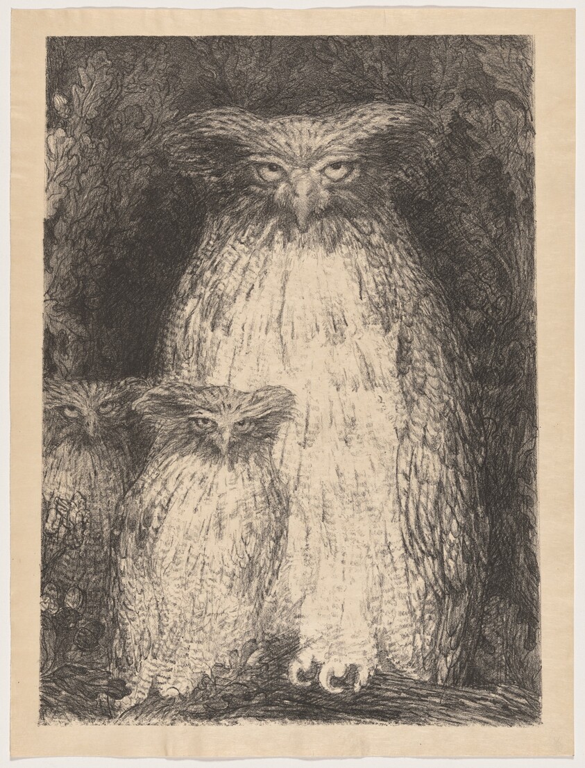 Grand-duc (Eagle Owl)