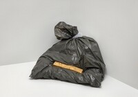 Green Bag, Mel Chin, 1993