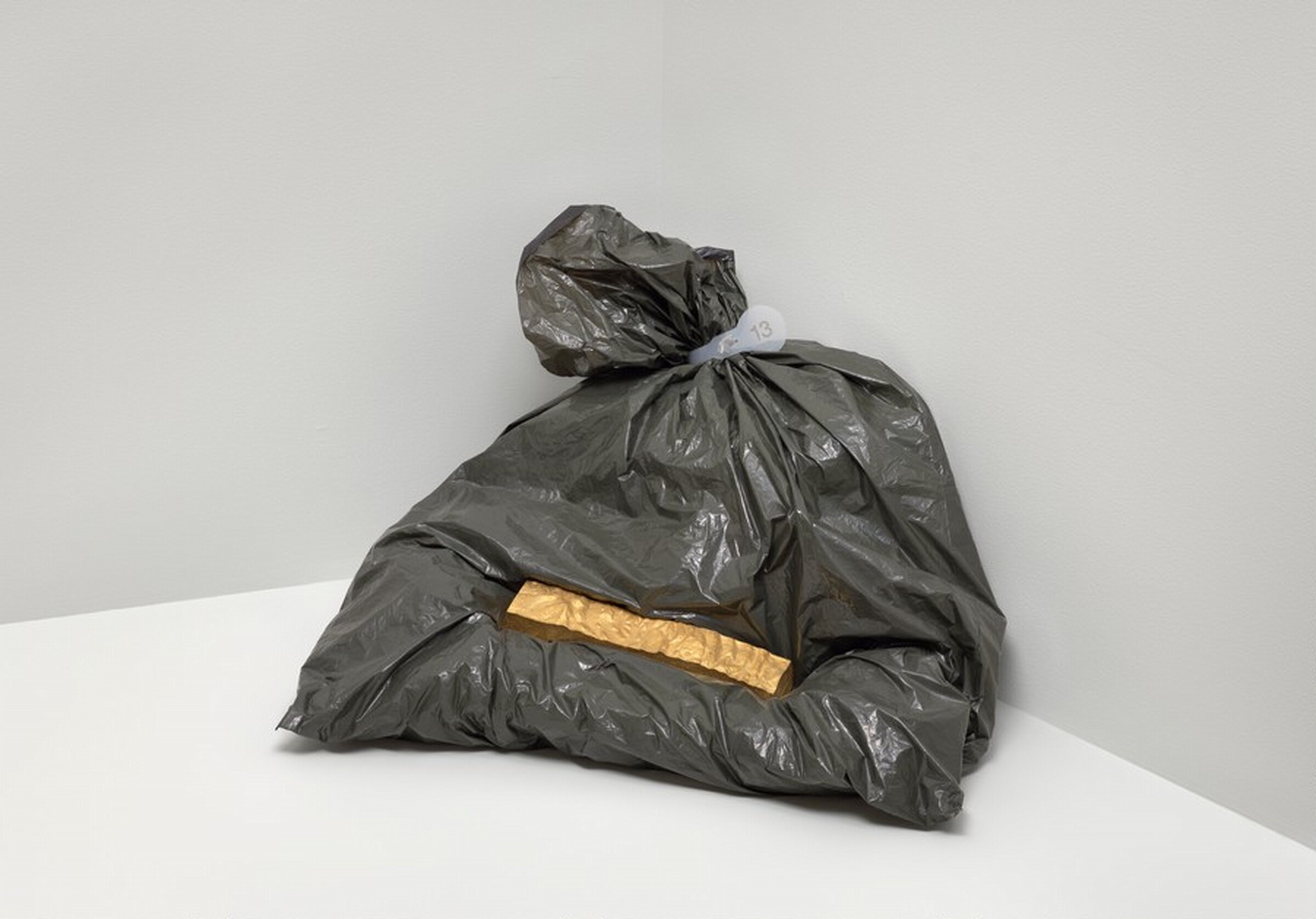 Green Bag, Mel Chin, 1993