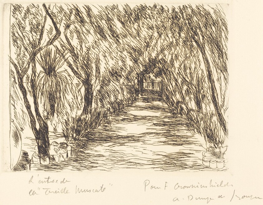 L'entree de la "Treille Muscate"