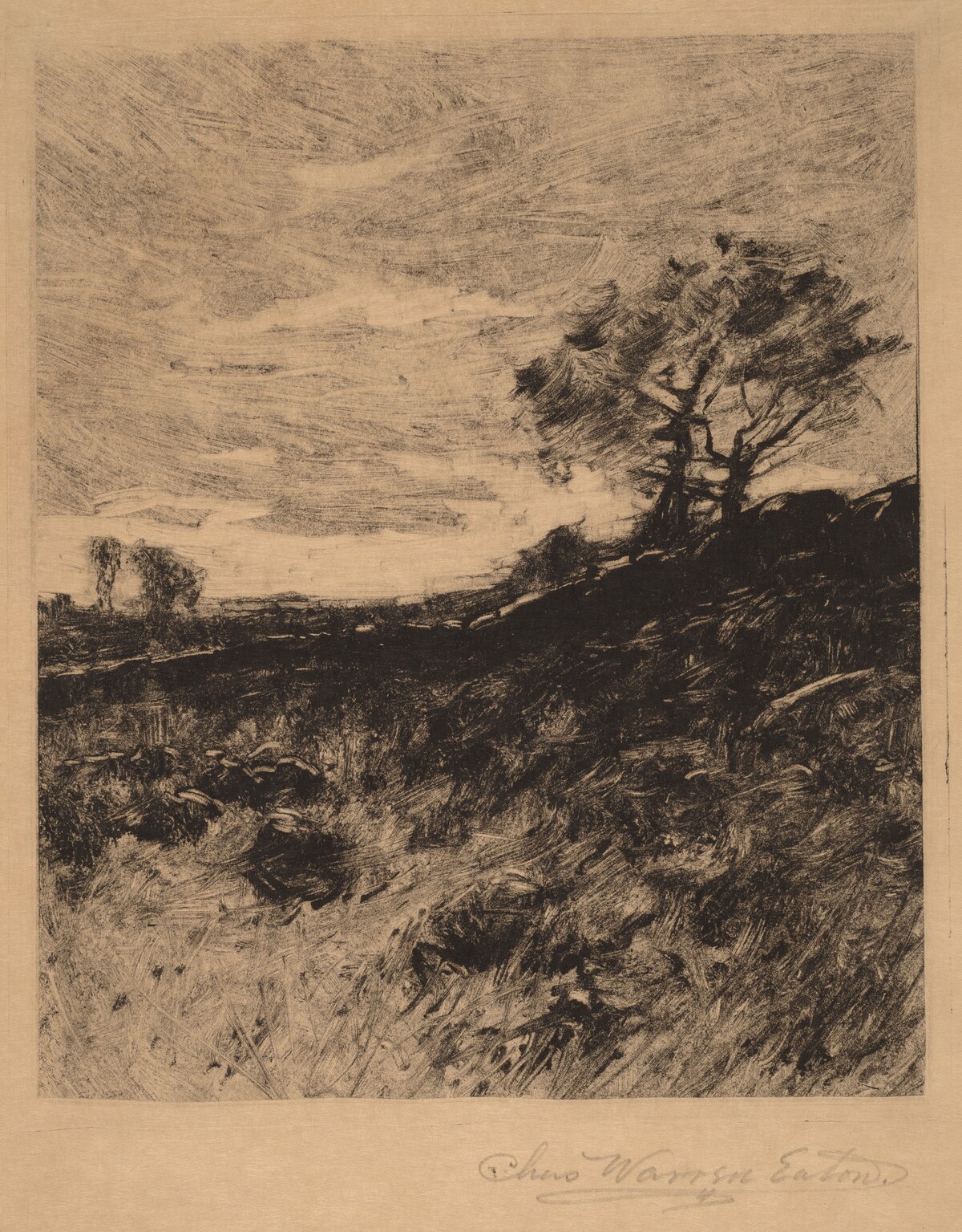 Landscape
