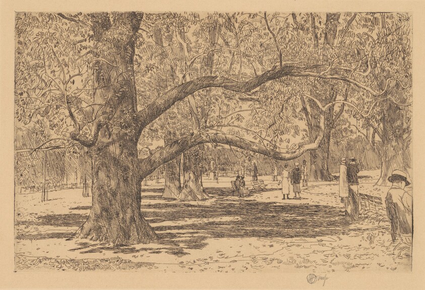 The English Elms
