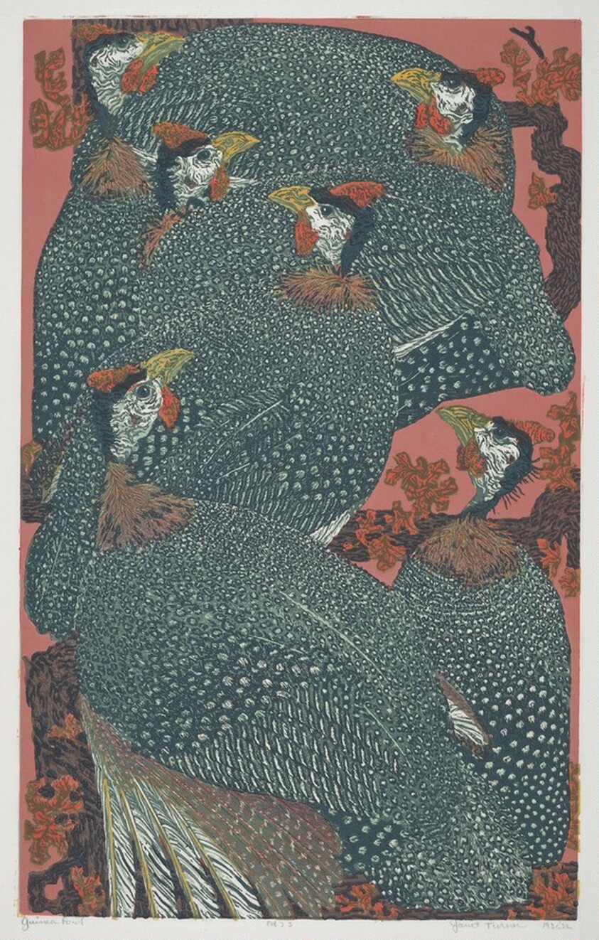 Guinea Fowl