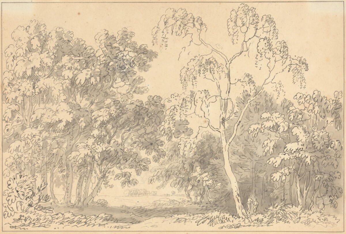 Wooded Landscape
