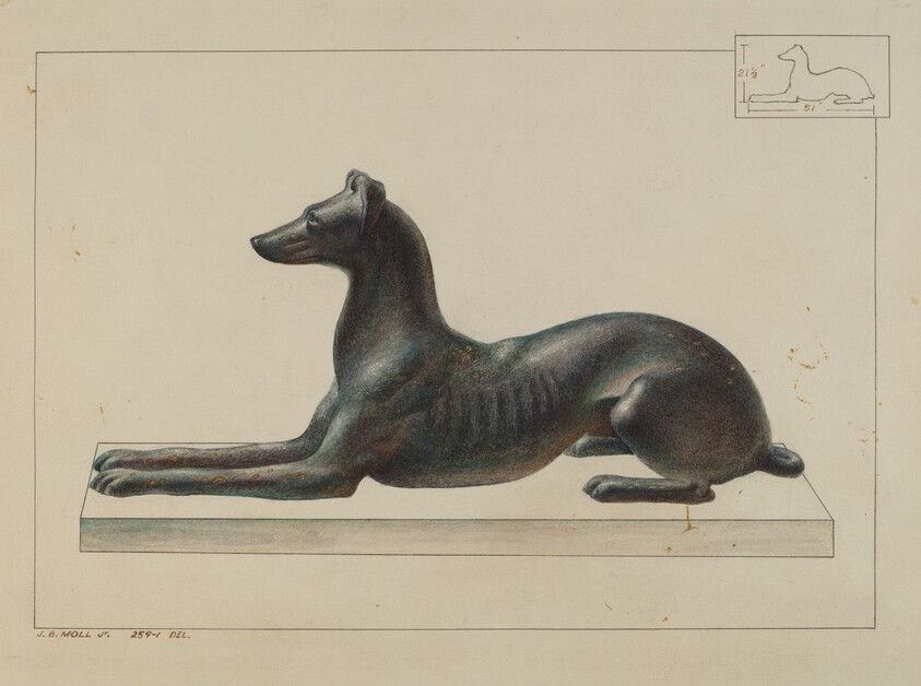 Greyhound