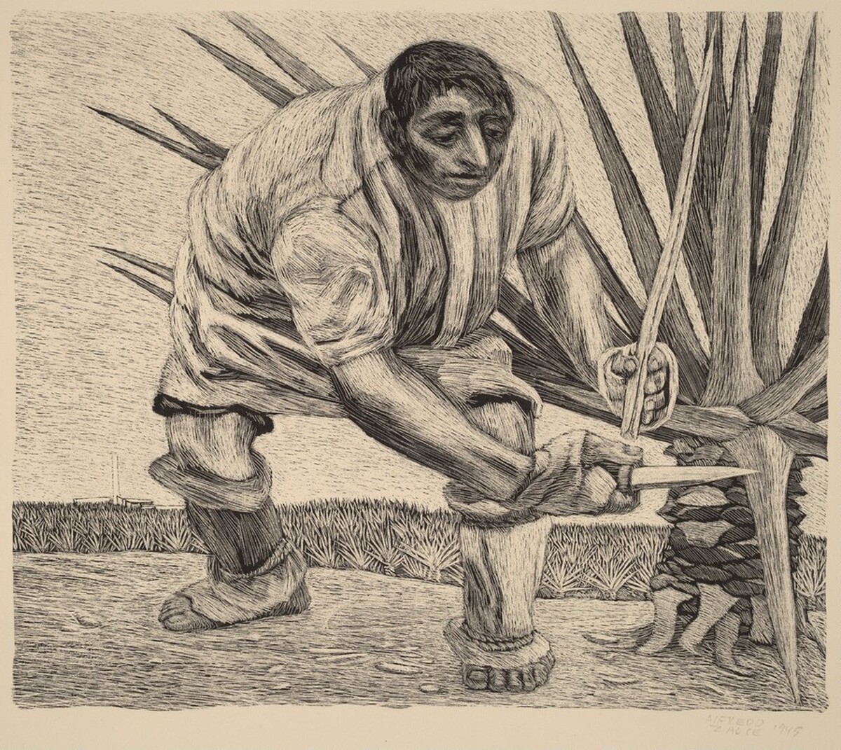 Henequén Worker