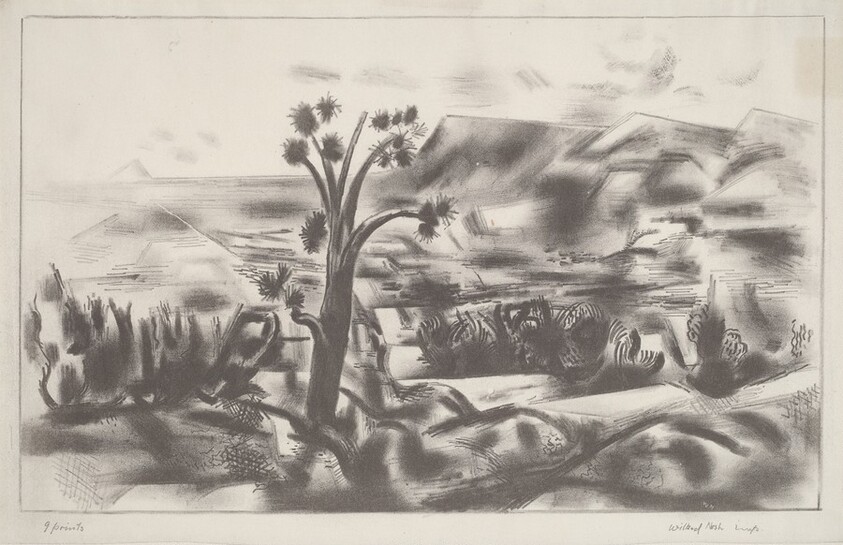 Untitled (Mexican Landscape)