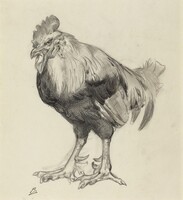 The Old Cock, Félix Bracquemond, c. 1882