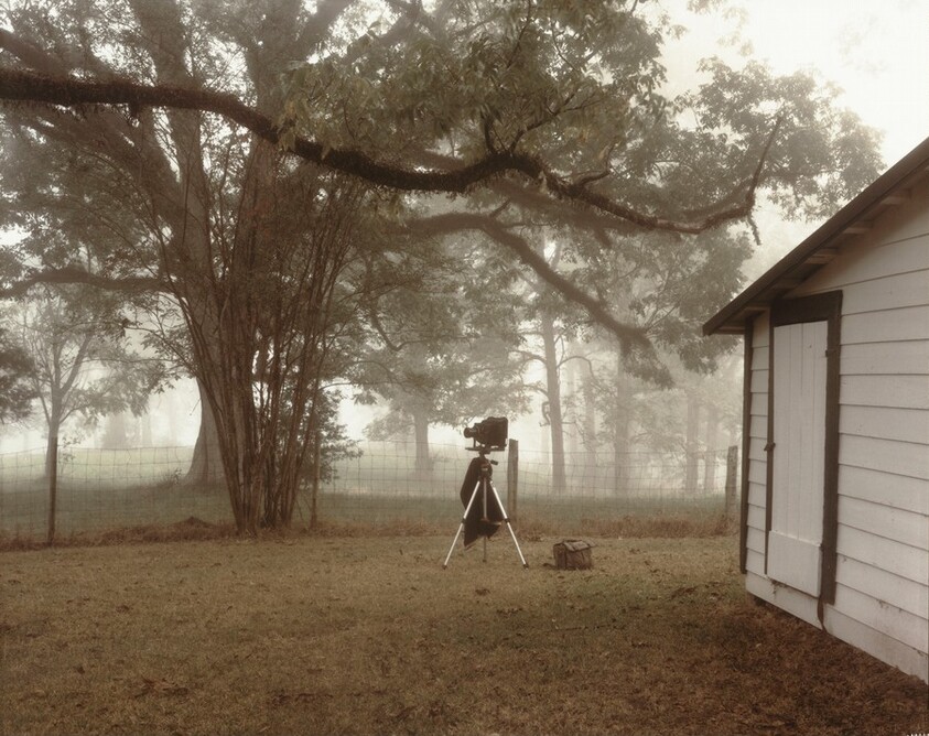 Sally's Camera (In the making of the "Scarred Tree" photograph)