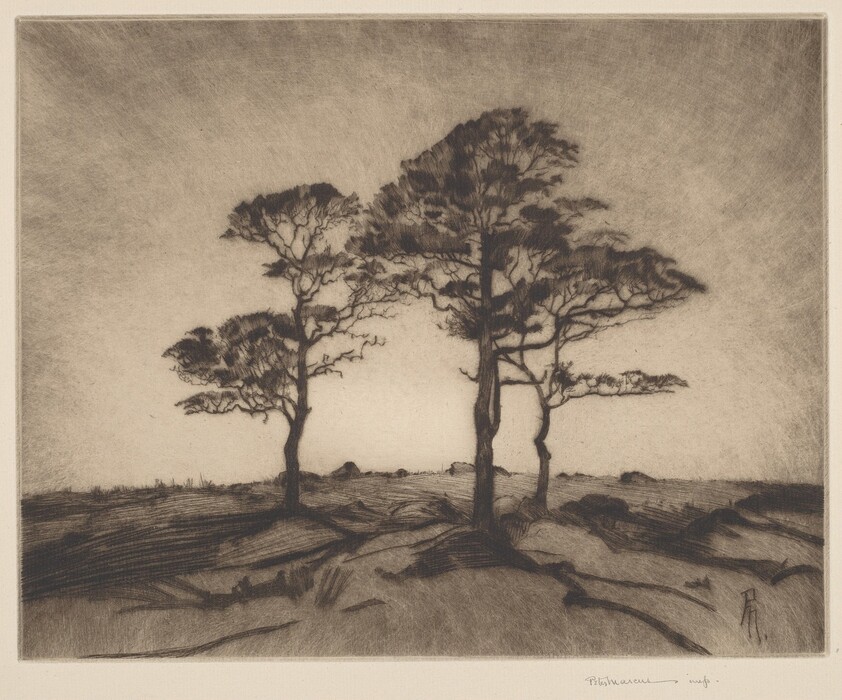The image depicts tall trees spaced across a gently sloping landscape, viewed from a straight-on perspective. The horizon is low in the composition, with the land leveling off beyond the trees. The brushstrokes are dark and meticulous, creating contrast between the trees and the sky. The color palette includes tones of sepia and charcoal. The ground has textural details, while the horizon is defined by tree silhouettes against the sky.